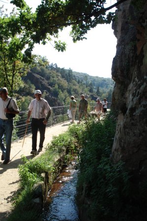 Les amateurs de nature apprécieront les sentiers de randonnée ou les petits ruisseaux en sous bois. Dans un autre format , les cascades de Gimel, la vallée de l'Auvézère avec ses forges, signes d'une autre époque, plus loin la Vallée de la Dordogne avec ses promenades en gabares, souvenir d'une époque faste